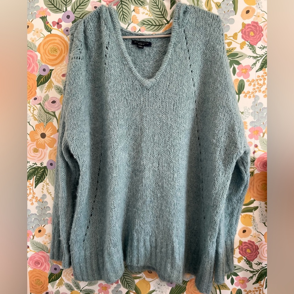 American Eagle Hooded Sweater Jegging Fit Blue Womens Size Large